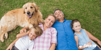assicurazione capofamiglia, assicurazione capo famiglia